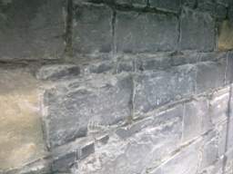 millstreet 11590.jpg